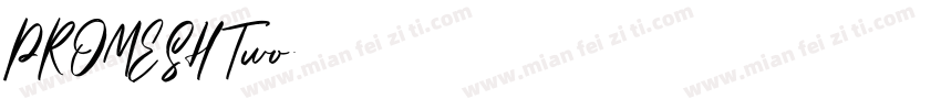 PROMESH Two字体转换